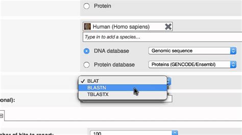 ensembl blast|how to cite ensembl.